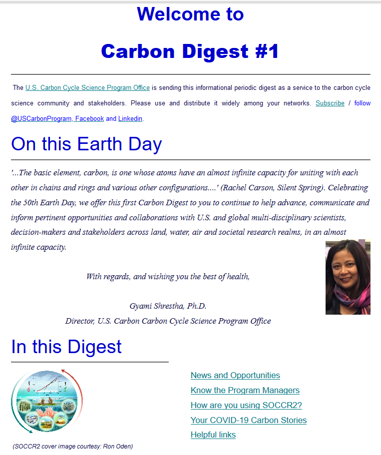 Carbon Digest 1 Screenshot