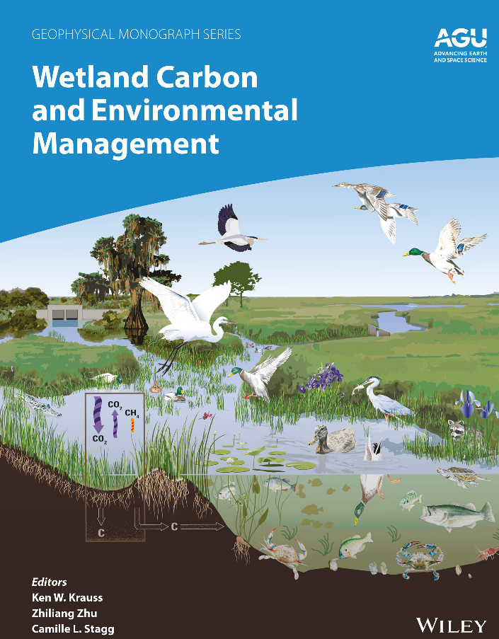Wetland Carbon and Environmental Management Book Cover