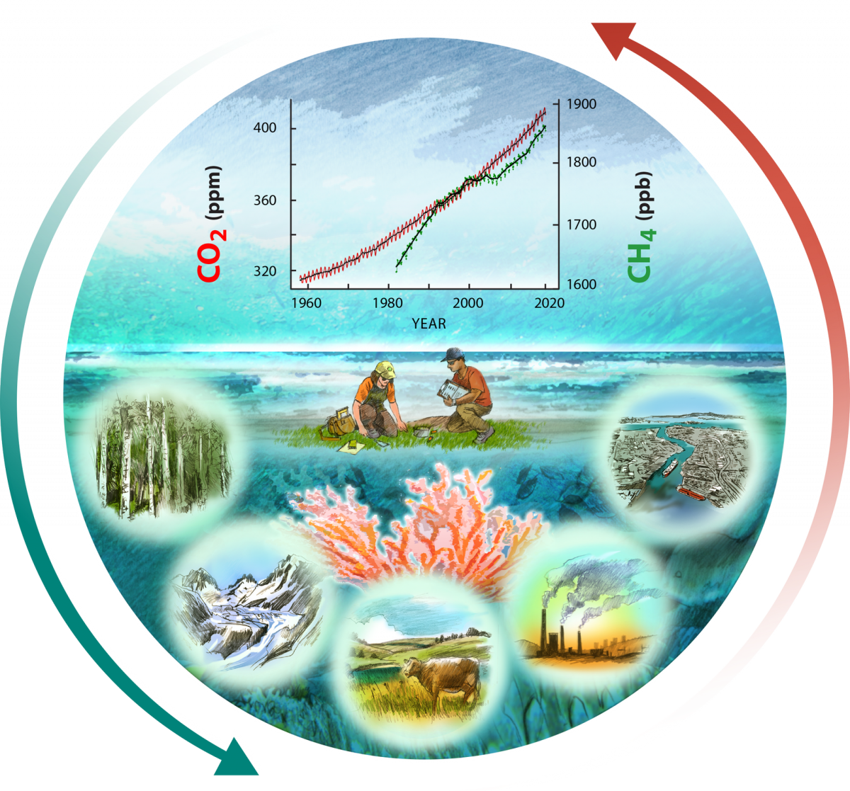 Report Cover Figure: North American carbon cycling illustration, courtesy Ron Oden, University of Nevada, Reno.  This graphic represents the dynamic nature of carbon stocks and fluxes in the United States, Canada, and Mexico described in the Second State of the Carbon Cycle Report. 