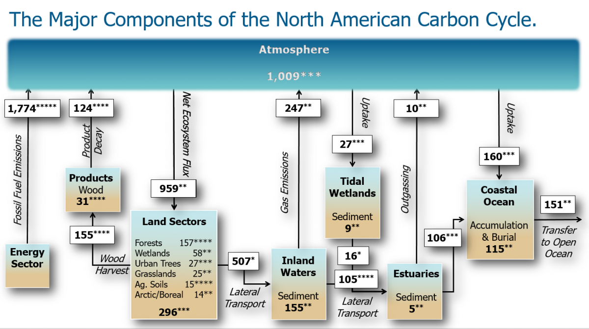 Carbon Budget of North America Animation
