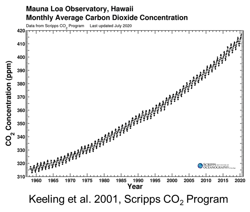 CO2 curve measured at Mauna Loa Observatory in Hawaii from 1955 to 2020, shows a rise with annual peaks and troughs correlated to Northern Hemisphere summers and winters.