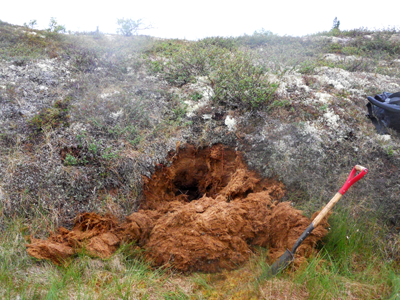 Fibric surface organic material